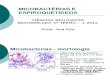 Micobacterias e Espiroquetideos