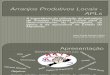 Arranjos Produtivos Locais - APLs