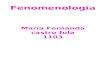 fenomenologia - Castro -1103