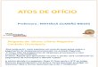 Atos+de+Oficio Ana+Flavia 28-04-10