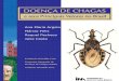 Doença De Chagas E Seus Principais Vetores No Brasil