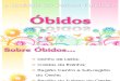 Óbidos - Apresentação Oral
