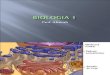 Biologia PPT - Aula 11 Sistema de Endomembranas