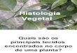 Biologia PPT - Histologia Vegetal