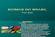 Biologia PPT - Botânica - Biomas do Brasil e Cerrado