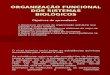 Biologia PPT - Organização Funcional dos Sistemas Biológicos