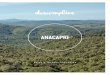 Anacapri inverno 2015 | Catálogo Conceito