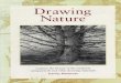 Stanley maltzman drawing nature