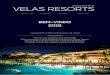Newsletter #3 | Velas Resorts | PT