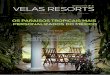 Newsletter #5 | Velas Resorts | PT
