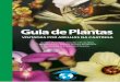 Guia de Plantas - Visitadas por Abelhas na Caatinga