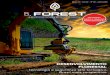 B.Forest - A Revista Eletrônica do Setor Florestal - Edição 09 Ano 02 n° 06 2015