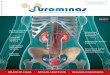 Uromominas -  artigos de urologia edição 04-2015