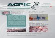 Agpic - Tecnologia e Gestão