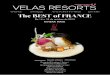 Newsletter #8 | Velas Resorts | PT