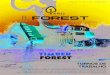 B.Forest A Revista Eletrônica do Setor Florestal - Edição 13 - Ano 02 - n° 10 - 2015