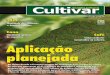 Grandes Culturas - Cultivar 157