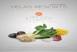 Newsletter #10 | Velas Resorts | PT