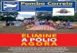 Pombo Correio, Informativo semanal do Rotary Club Taguatinga Ave Branca, Edição 2015-16 nº 17, 29 de