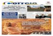 Jornal Correio Notícias - Edição 1352 (20/11/2015)