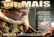 Revista Vila Mais - Outubro de 2015