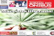 Jornal do Onibus de Curitiba - Edição do dia 22-03-2016