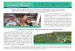Nossa Roça nº 9: O Sistema Agroflorestal do Vicente e da Lucmar