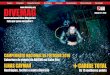 DIVEMAG | Edição 51 | International Dive Magazine