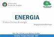 Fonte e Formas de Energia/Impactos Ambientais