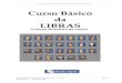 CURSO BÁSICO DA LIBRAS (LÍNGUA BRASILEIRA DE SINAIS 
