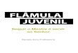 Revista do professor Flâmula Juvenil
