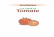 Guia Tomate.pdf