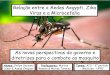 AEDES: Zika, Dengue e Chicungunha - Medicina UFRJ 3o. período, Disciplina AIS