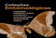 Coleções Entomológicas: legislação brasileira, coleta, curadoria e 