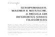 schopenhauer, wagner e nietzsche: a música em diferentes graus 