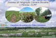 Sistemas de Integração Lavoura Pecuária e Floresta -ILPF