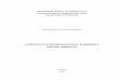 a perspectiva geomorfológica: subsídios a análise ambiental