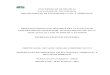 Oliveira (2006) Dissertação Avaliação de SAA - Versão Oficial PDF