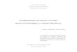 Fitofisionomias do bioma Cerrado: síntese terminológica e relações 