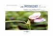 Cultivo do Feijão-caupi (Vigna unguiculata (L.) Walp)