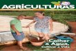 Revista Agriculturas V12N3 Colher a Água, Cultivar a Vida