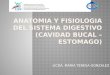 Anatomia y fisiologia del sistema digestivo