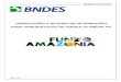 BNDES/Fundo Amazônia