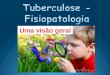Tuberculose - Fisiopatologia