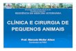 CLÍNICA E CIRURGIA DE PEQUENOS ANIMAIS