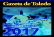 Gazeta de Toledo - 13 - COR.indd