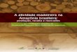 A atividade madeireira na Amazônia brasileira: produção, receita e 