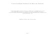 análise organizacional, social e ambiental da