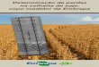 Determinação de perdas na colheita de soja: copo medidor da 