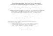 Dissertação Mestrado Economia Internacional - Fernando Seabra.pdf